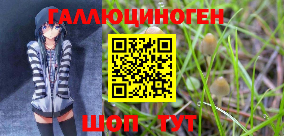 Псилоцибиновые грибы мицелий Стрежевой